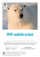 Adopt a Polar Bear Certificate