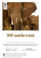 WWF Adopt an Animal Certificate WWF Adopt an Animal Certificate
