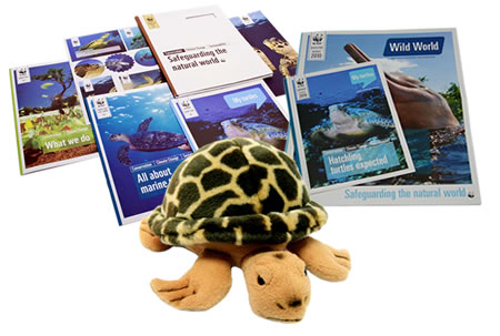 Adopt a Turtle Gift Pack