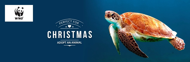 Adopt a Turtle