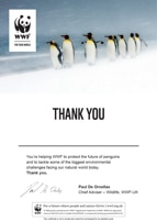 Adopt a Penguin Certificate