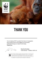 Adopt an Orangutan Certificate