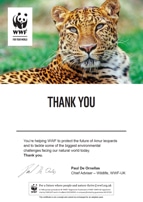 Adopt a Leopard Certificate