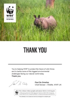 Adopt a Rhino Certificate