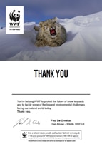 Adopt a Snow Leopard Certificate
