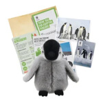 Adopt a Snowy Animal Gift Pack