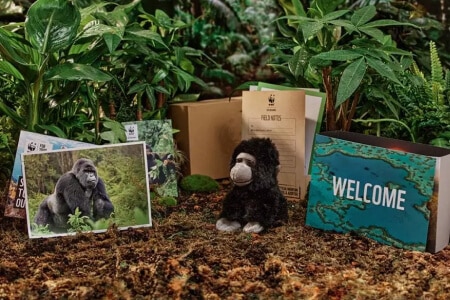 Adopt a Mountain Gorilla Gift Pack