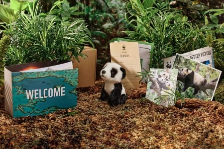 Adopt a Panda Gift Pack