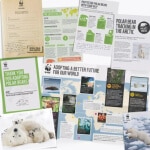 Adopt a Polar Bear Gift Pack