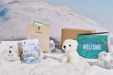 Adopt a Snowy Animal Gift Pack